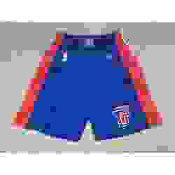 Detroit Pistons Basketball Shorts 003