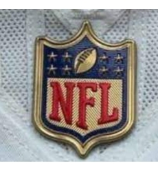 Women Las Vegas Raiders Gold NFL Logo Patch Biaog